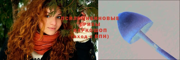 прущая мука Белоозёрский