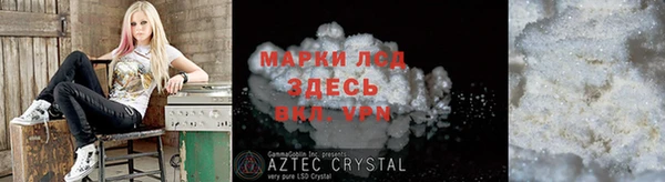 шишки Беломорск