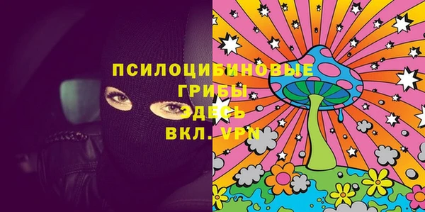 таблы Богородицк