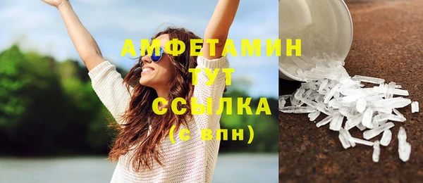 шишки Беломорск